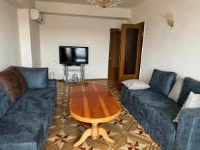 Appartment in the center